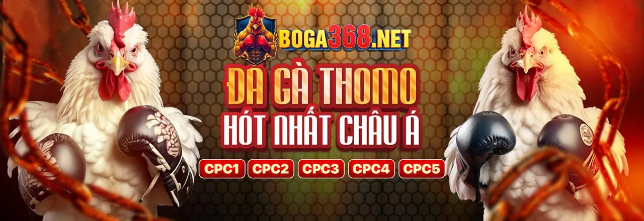 Đá gà trực tuyến kịch tính tại 789be89